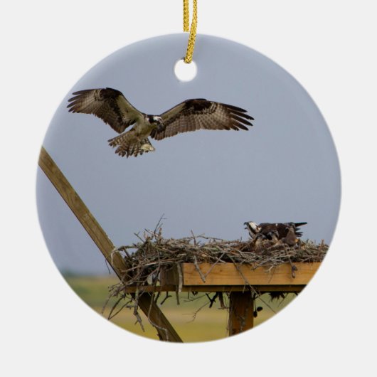 Osprey Bird Nest Ornament (Voorkant)