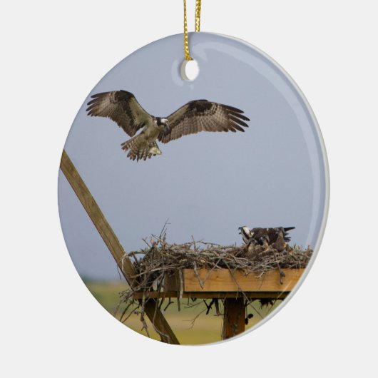 Osprey Bird Nest Ornament (Links)