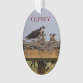 Osprey Bird Nest Ornament (voorkant)