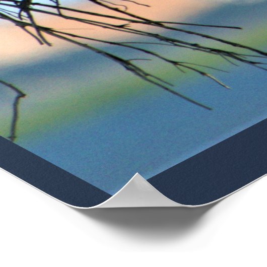 Osprey Bird Nest Poster (Hoek)