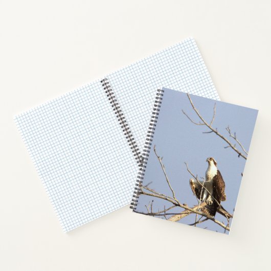 Osprey Bird Notebook Notitieboek (Binnen)