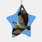 Osprey Bird Ornament (Rechts)