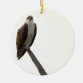 Osprey Bird Ornament  (Voorkant)