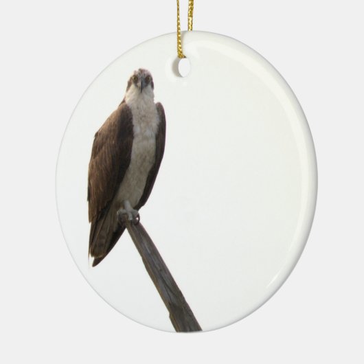 Osprey Bird Ornament  (Links)