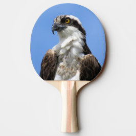 Osprey - Bird - Ping Pong Paddle Tafeltennisbatje