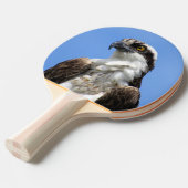 Osprey - Bird - Ping Pong Paddle Tafeltennisbatje (Voorkant Gekanteld)