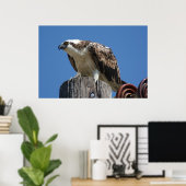 Osprey Bird Print (Thuiskantoor)