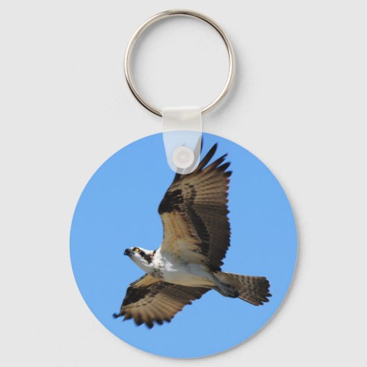Osprey Bird Sleutelhanger (Voorkant)