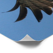 Osprey Bird Spirit of the LORD Print (Hoek)