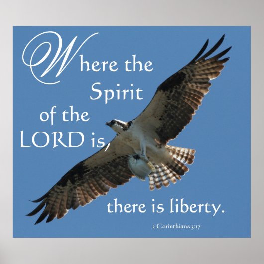 Osprey Bird Spirit of the LORD Print (Voorkant)