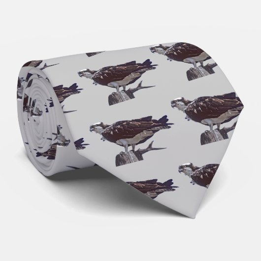 Osprey Bird Stropdas (Opgerold)