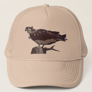 Osprey Bird Trucker Pet
