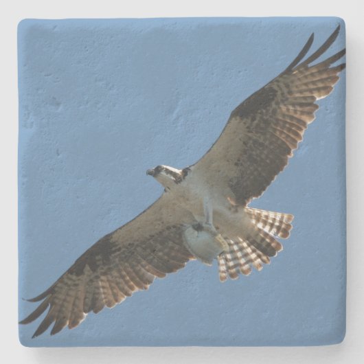 Osprey Bird Wildlife Fish Animal Stone Onderzetter (Voorkant)