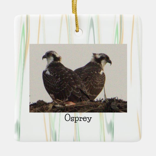Osprey Birds in het Nest Ornament (Voorkant)