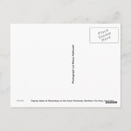 Osprey Briefkaart (Achterkant)