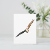 Osprey Briefkaart (Staand voorkant)