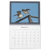 Osprey Calendar Kalender (Mar 2027)