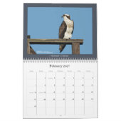 Osprey Calendar Kalender (Feb 2027)