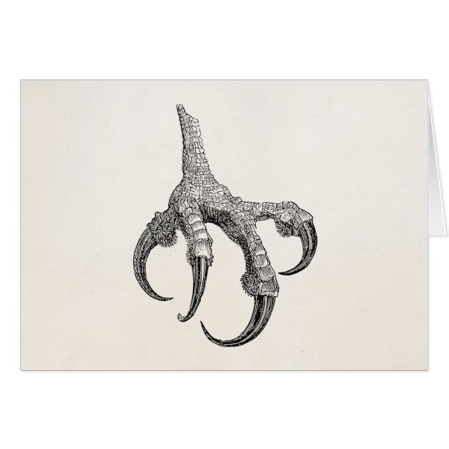  Osprey Claw - Aangepaste kleuterwetten (Voorkant Horizontaal)