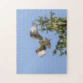Osprey die van de pijnboom afkomt legpuzzel (Verticaal)