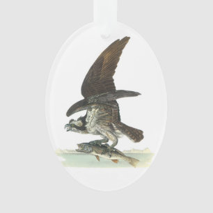 Osprey door Audubon Ornament