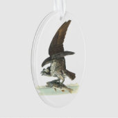 Osprey door Audubon Ornament (voorkant)