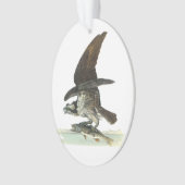Osprey door Audubon Ornament (voorkant)