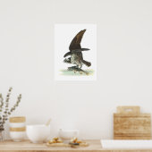 Osprey door Audubon Poster (Keuken)