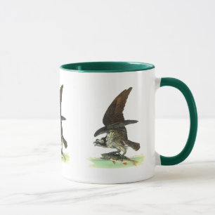 Osprey door John James Audubon Mok
