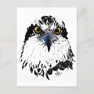 Osprey Drawing Black White met Piercing Eyes Feestdagenkaart
