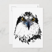 Osprey Drawing Black White met Piercing Eyes Feestdagenkaart (Voorkant / Achterkant)