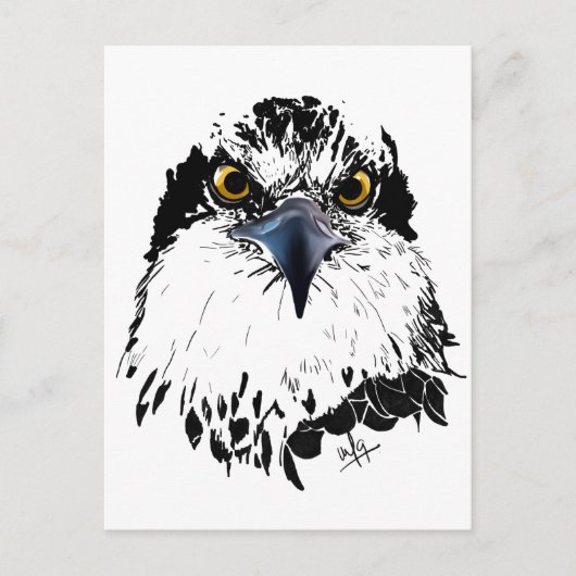 Osprey Drawing Black White met Piercing Eyes Feestdagenkaart (Voorkant)