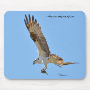 Osprey Dray fish Mousepad Muismat