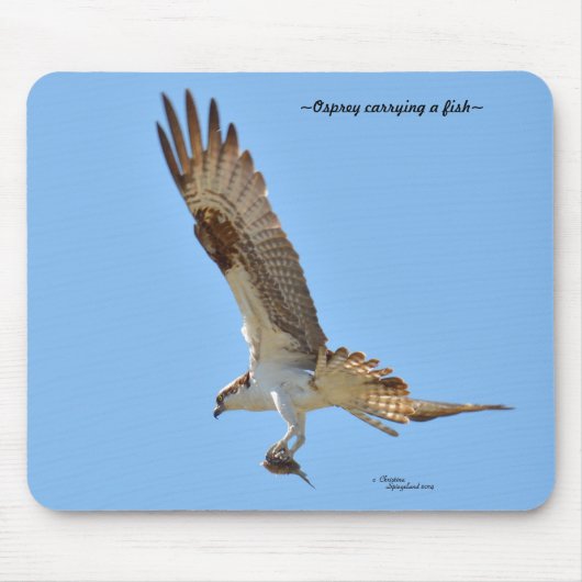 Osprey Dray fish Mousepad Muismat (Voorkant)