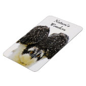 Osprey Eyes Flexi Magnet Magneet (Linkerzijde)