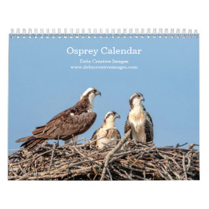 Osprey familie 2025 kalender