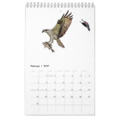 Osprey familie 2026 kalender (Feb 2027)