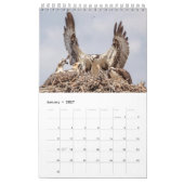Osprey familie 2026 kalender (Jan 2027)