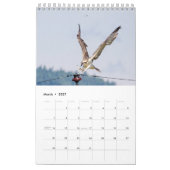 Osprey familie 2026 kalender (Mar 2027)