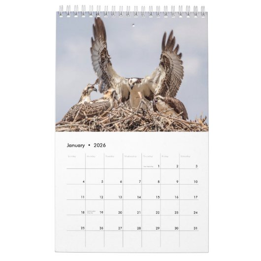 Osprey familie 2026 kalender (Jan 2026)