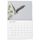 Osprey familie 2026 kalender (Mar 2026)