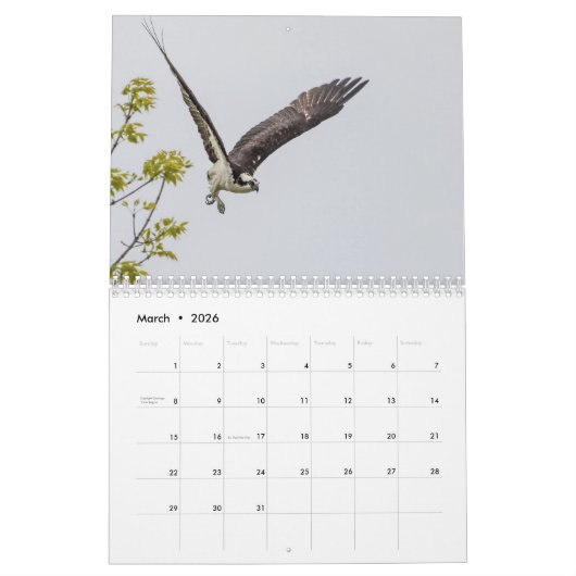 Osprey familie 2026 kalender (Mar 2026)