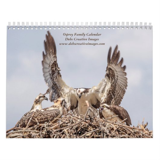Osprey familie 2026 kalender (Hoes)