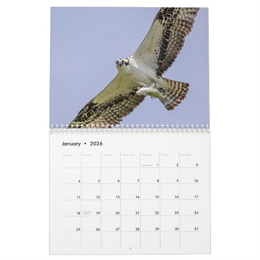 Osprey familie 2026 kalender (Jan 2026)