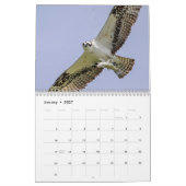 Osprey familie 2026 kalender (Jan 2027)