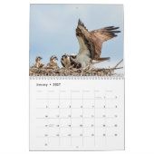 Osprey familie 2026 kalender (Jan 2027)