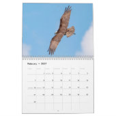 Osprey familie 2026 kalender (Feb 2027)