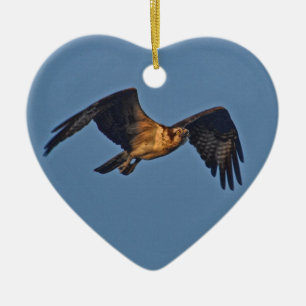 Osprey Fish Eagle Flying at Sunset Keramisch Ornament