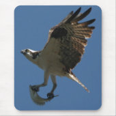 Osprey/Fish Mousepad Muismat (Voorkant)