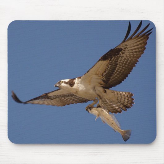 Osprey Fisher Muismat (Voorkant)